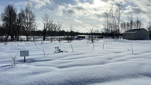 Участок 7,5 соток в д. Уголки