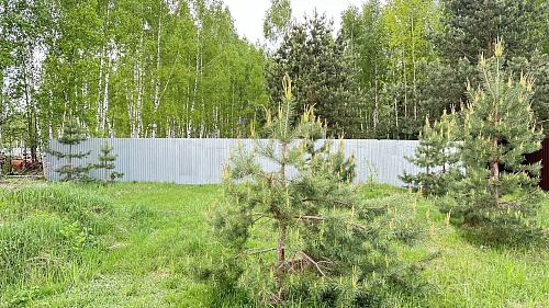 Земельный участок 30 соток в г. Ногинск